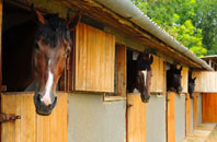 free Wadesmill stable construction quotes
